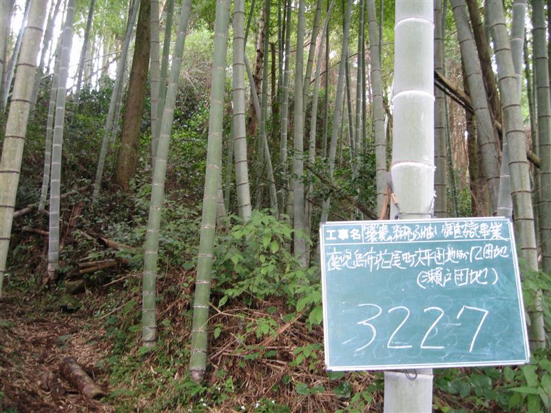 Tv摜