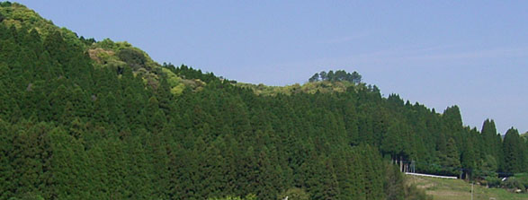 setozenkei