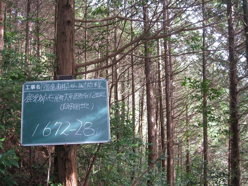 Tv摜
