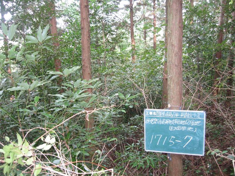Tv摜