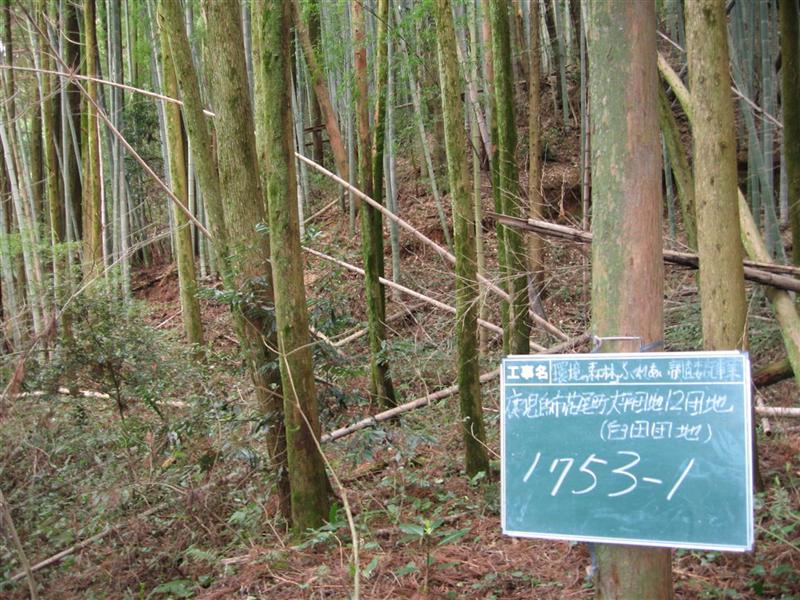 Tv摜