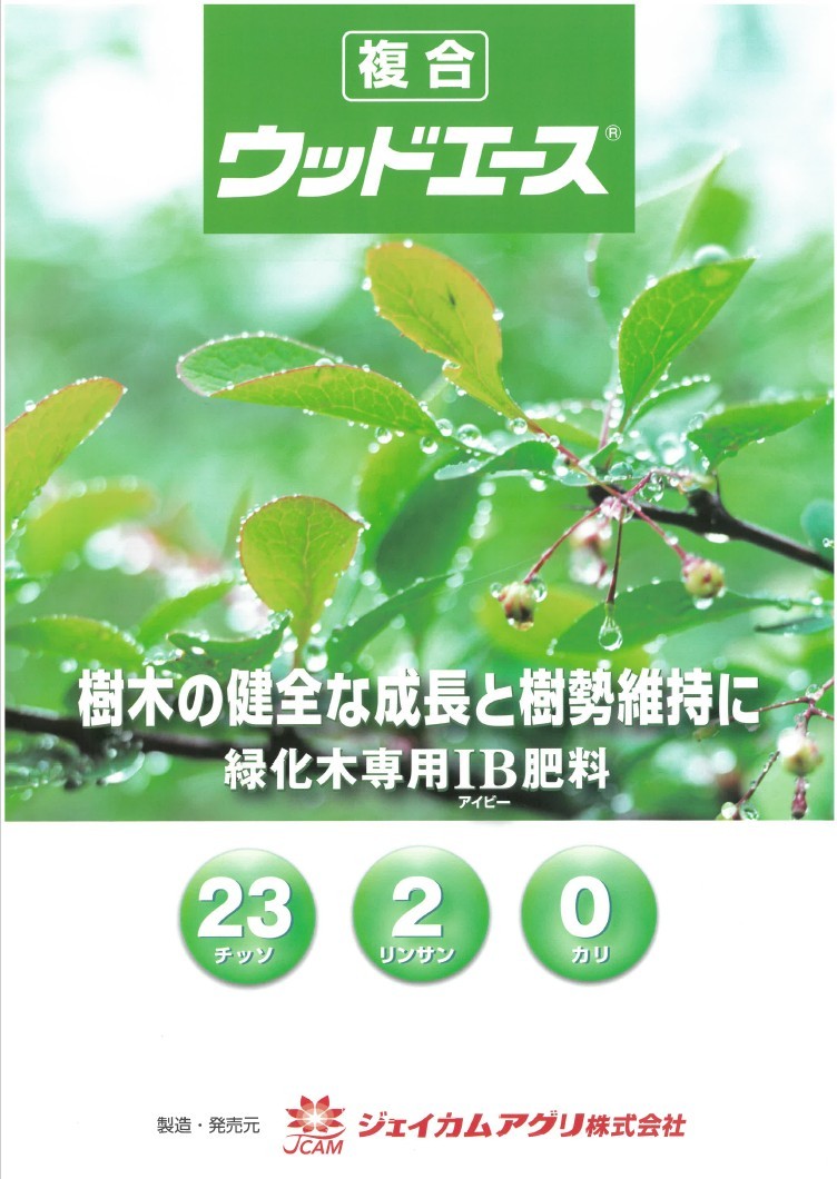 ウッドエース1号